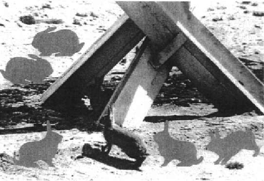 \includegraphics[width=12cm]{/home/stern89/doc/dickel/karten/sachse.eps}